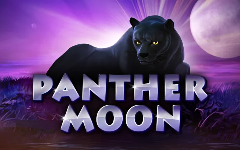 Sportingbet casino